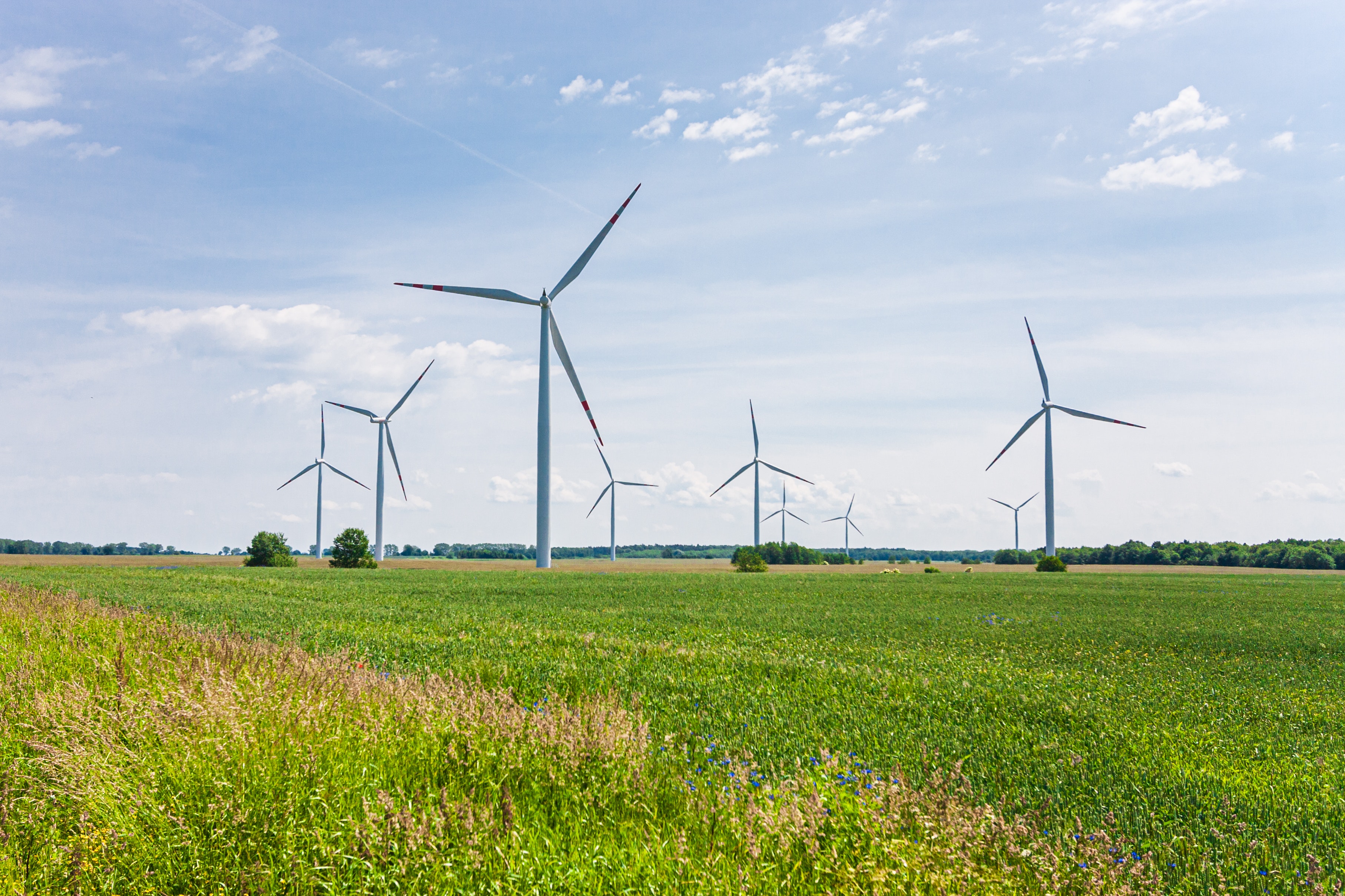 Windpark via Pexels