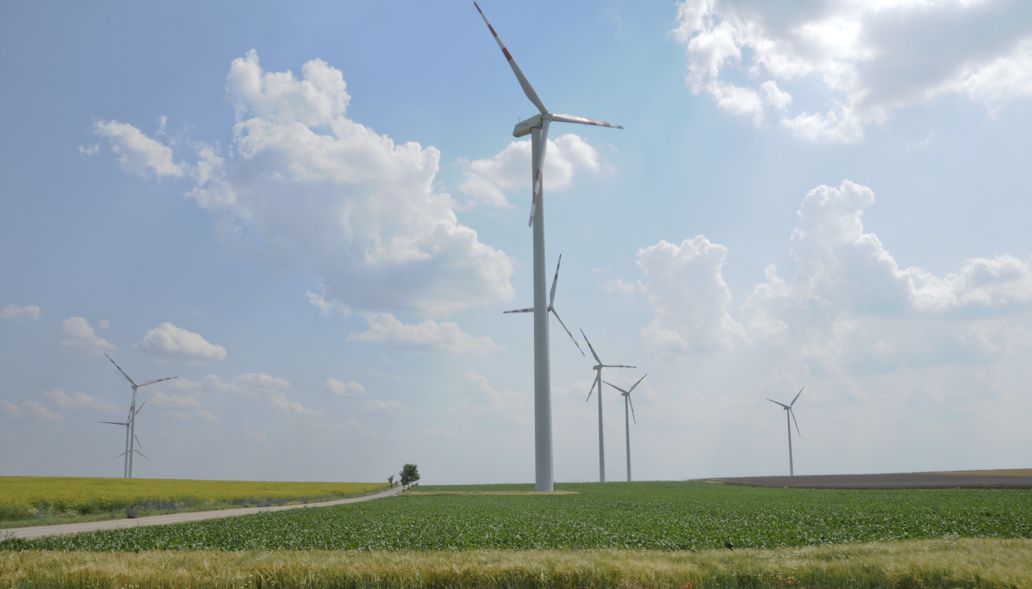 Windpark via Pexels