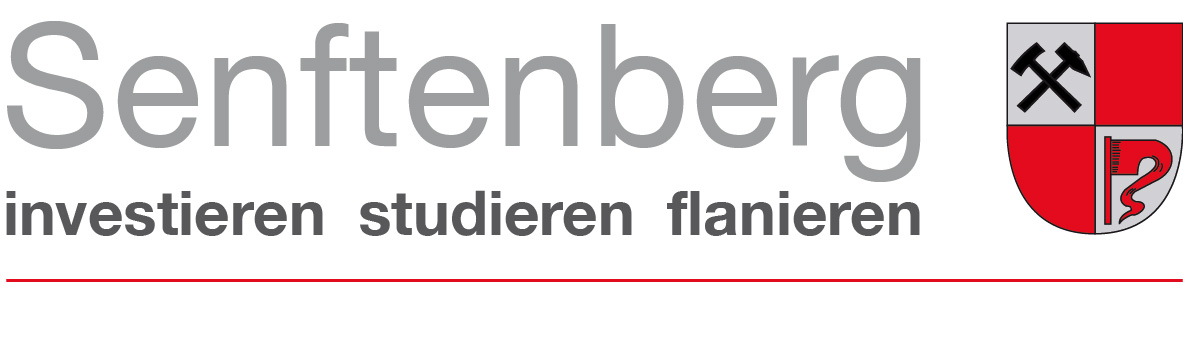 Neues Logo StadtSenftenberg JPEG
